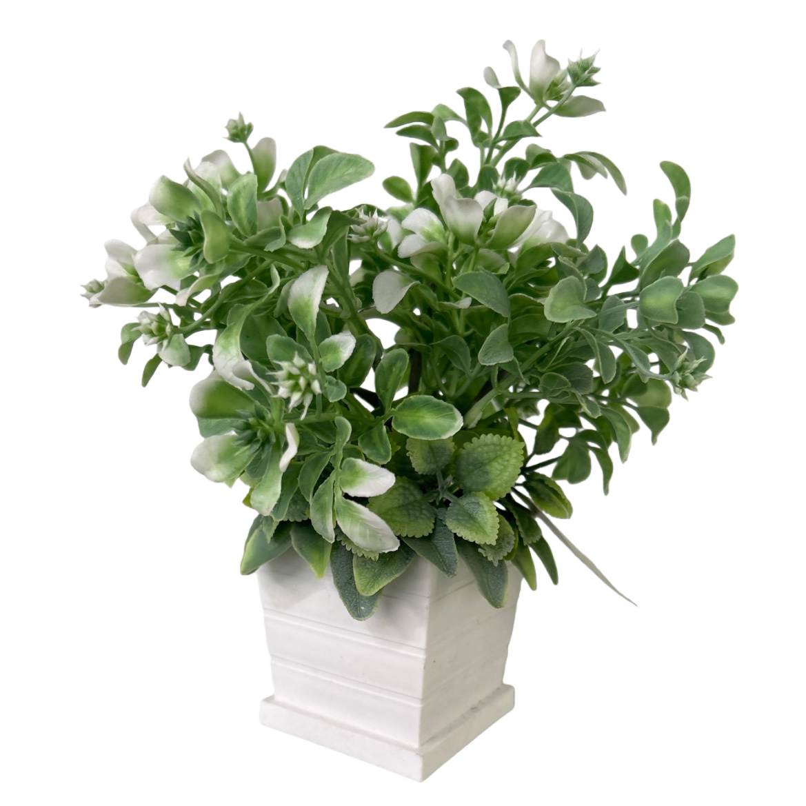 Green plant potted plants for indoor air purification, small potted plants and succulent combinations. 095949738 Item Picture