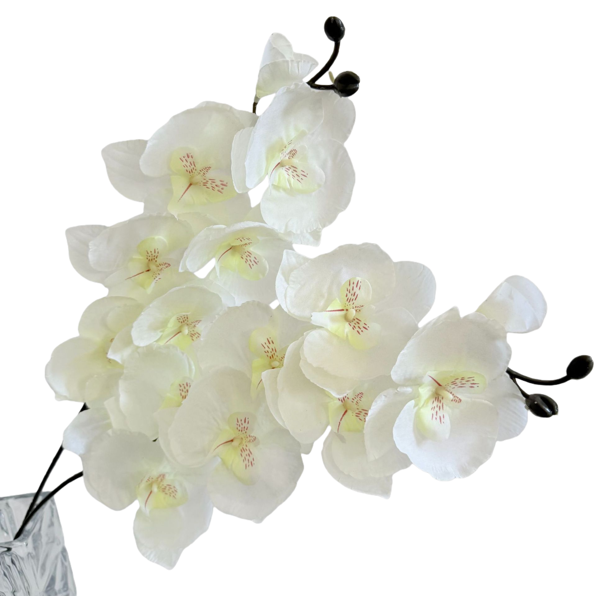 White orchid flower decorative ornaments for indoor home, living room and bedroom, fresh floral art Item Picture