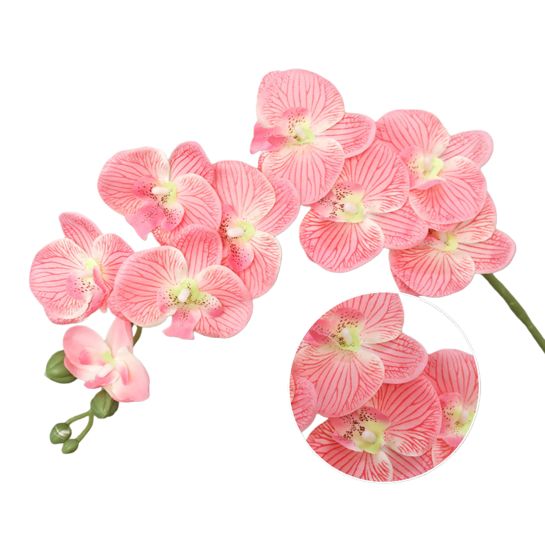 Rosa phalaenopsis bouquet de flores en flor sala de estar balcón decoración maceta Item Picture