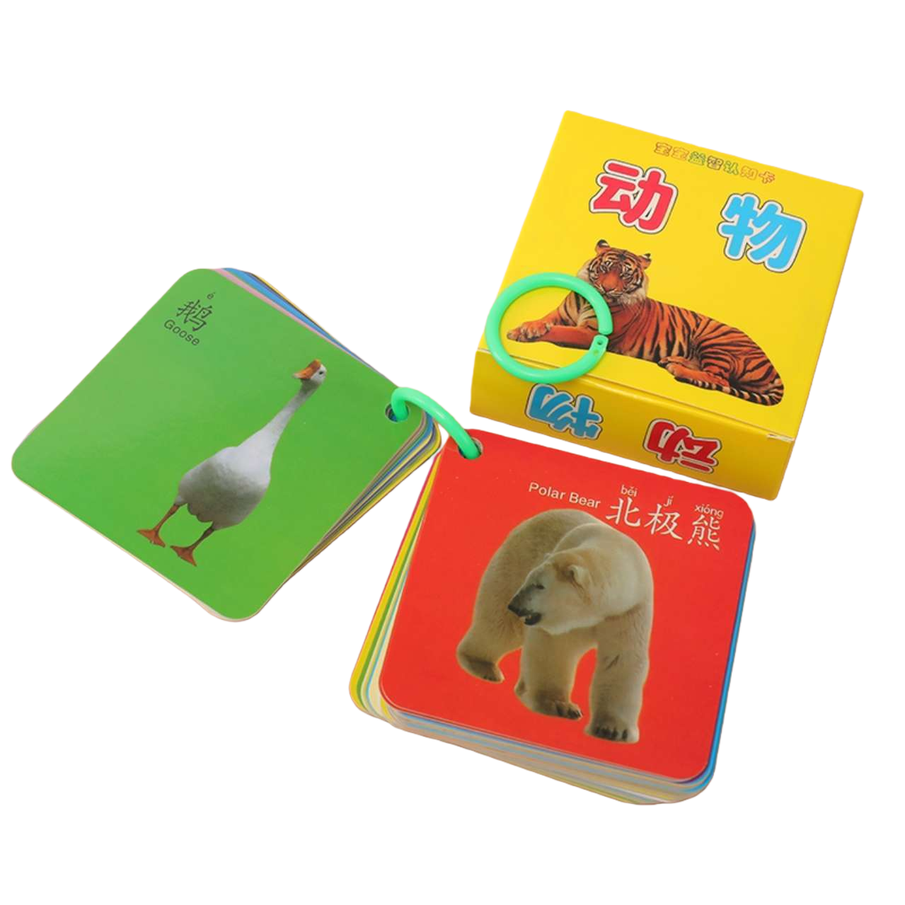 儿童动物认知卡片 随身携带学习工具 早教启蒙识物卡白底实物图