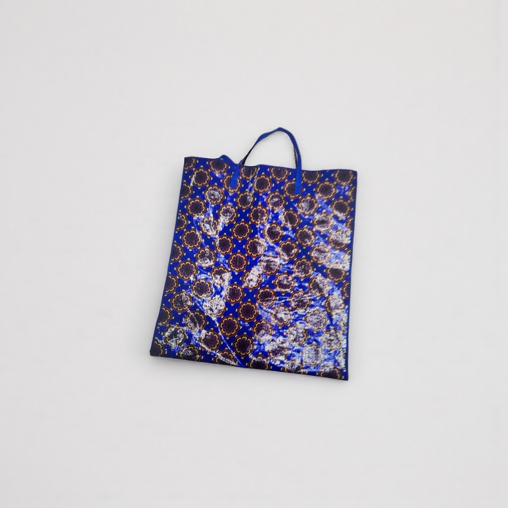 Blue patterned shopping bag, hand-held eco-friendly canvas bag, large-capacity daily storage bag details Picture