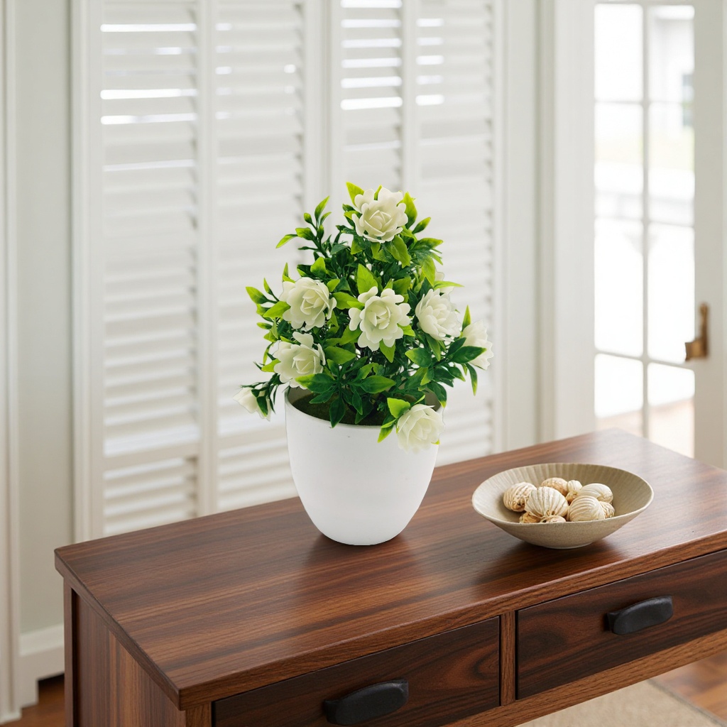 White-flowered potted plants, indoor ornamental green plants, and balcony decorative flowers details Picture