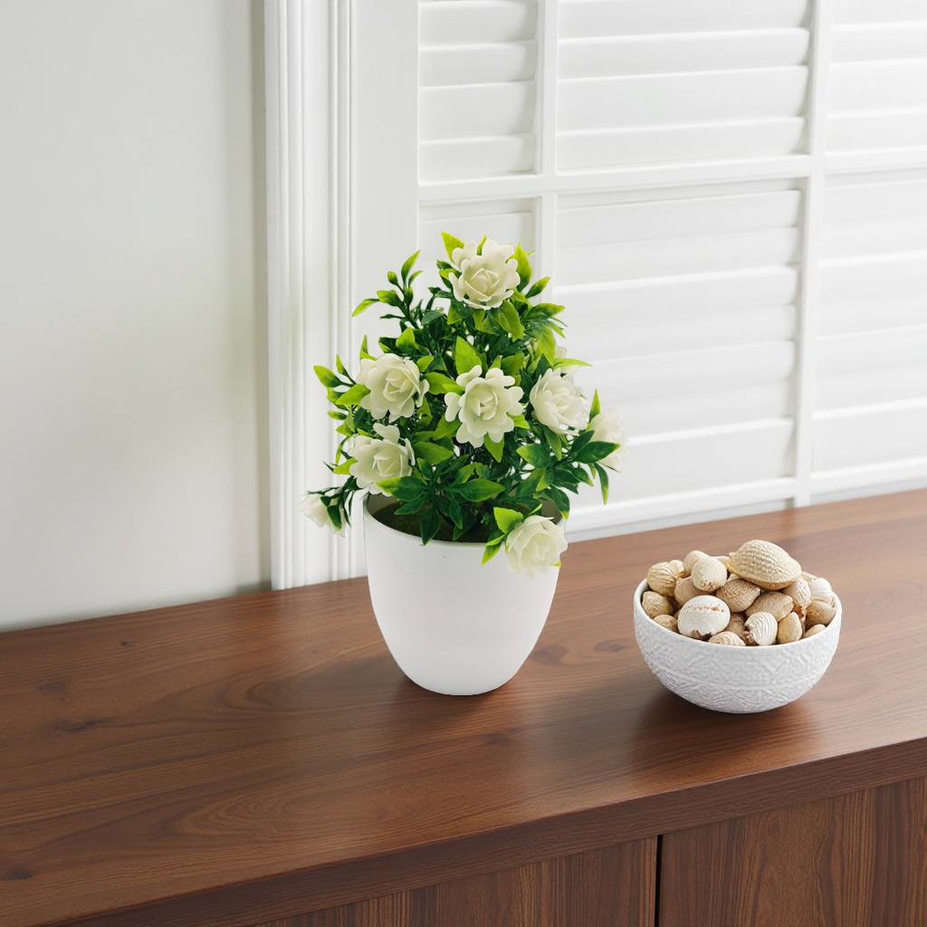 White-flowered potted plants, indoor ornamental green plants, and balcony decorative flowers Specification image