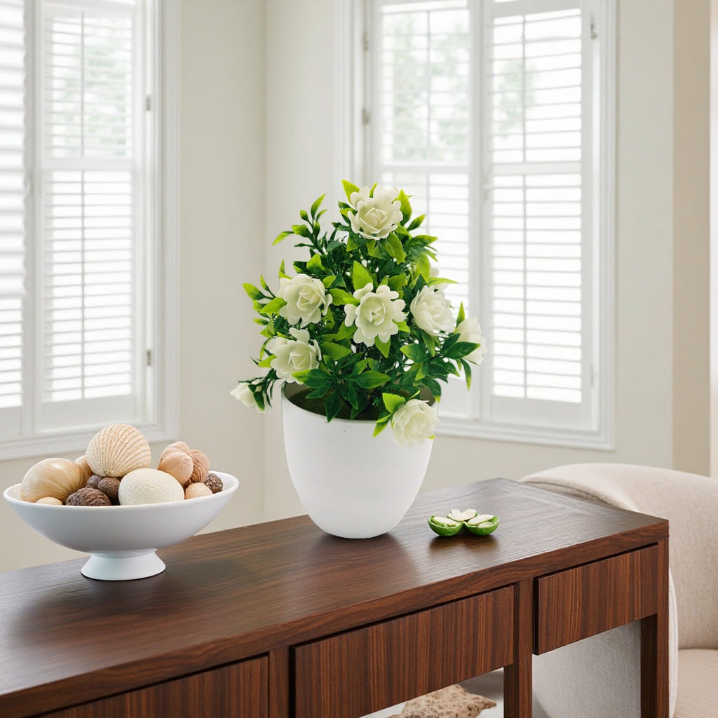 White-flowered potted plants, indoor ornamental green plants, and balcony decorative flowers