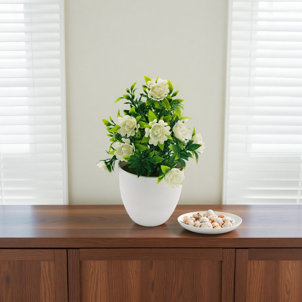 White-flowered potted plants, indoor ornamental green plants, and balcony decorative flowers Application Scenario