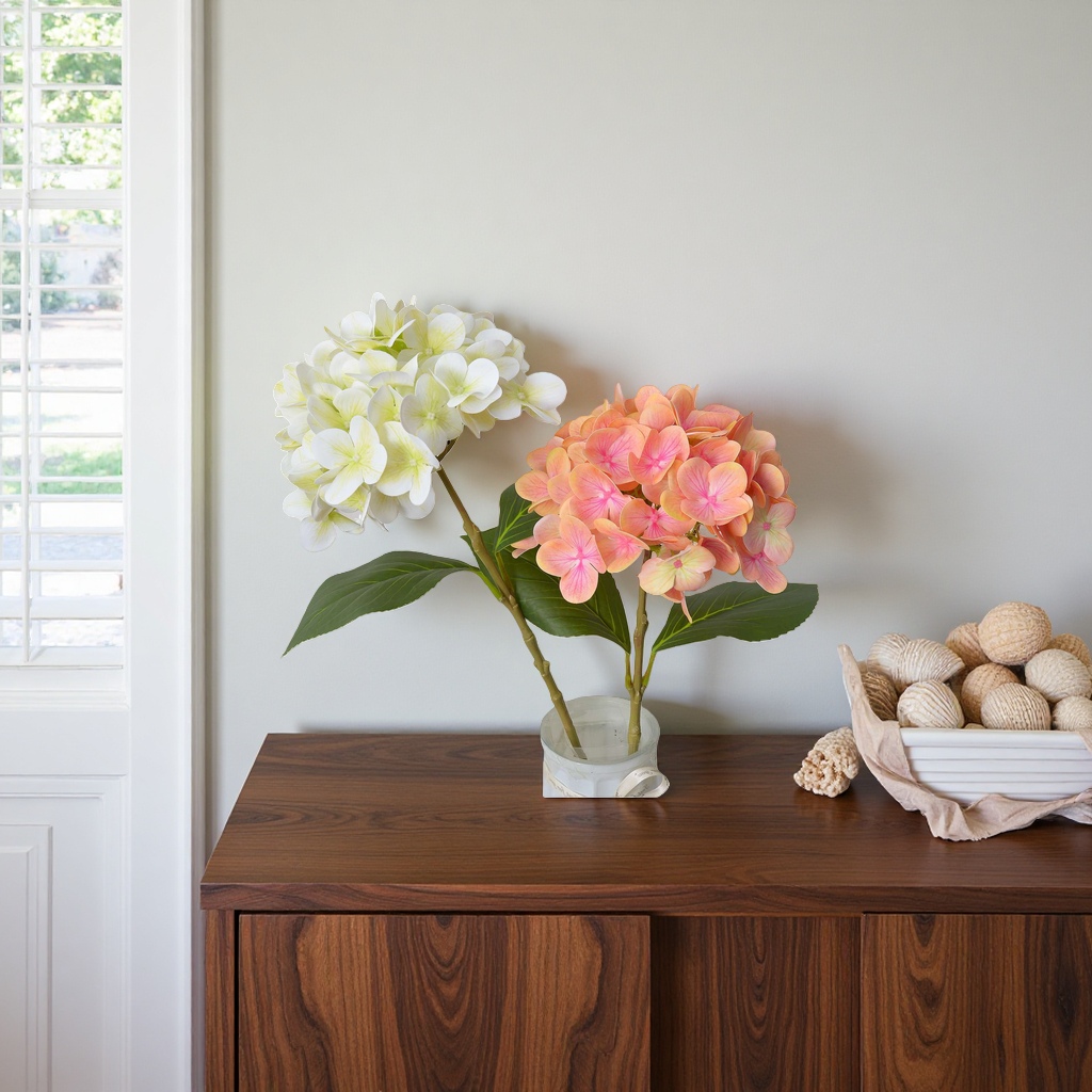 Hydrangeas are available in a variety of colors as ornamental plants for balconies and courtyards Application Scenario