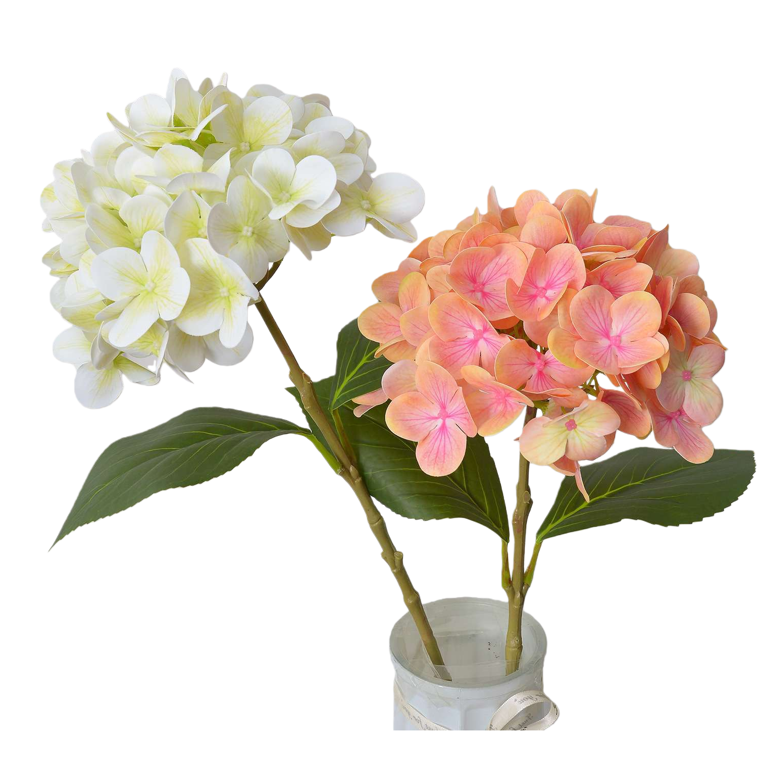 Hydrangeas are available in a variety of colors as ornamental plants for balconies and courtyards Item Picture
