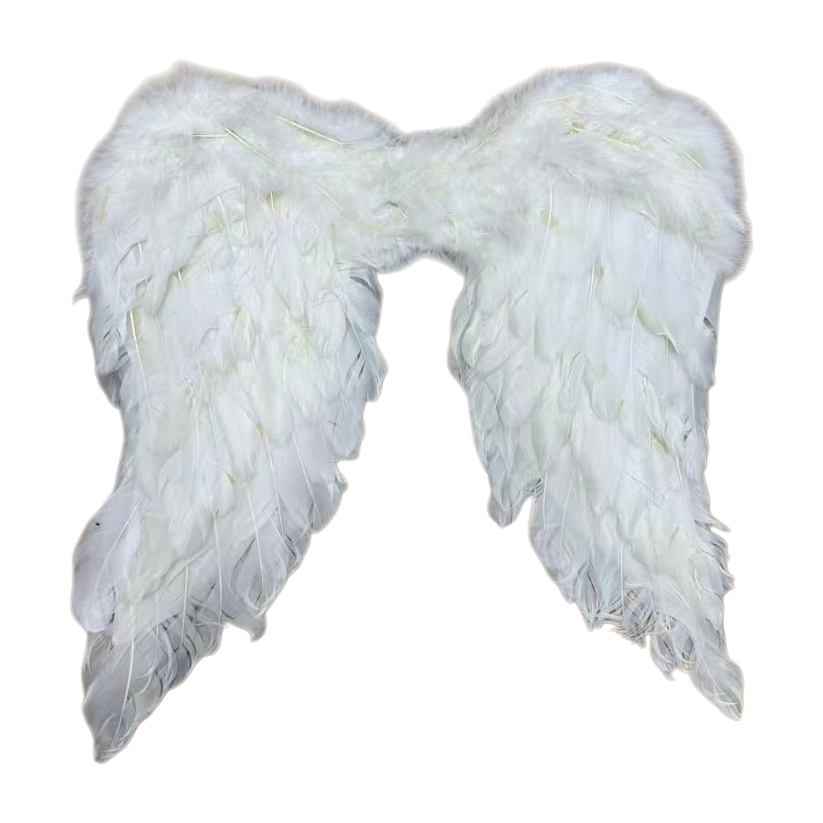 White feather angel wing decorative pendant, an indoor home creative hanging decoration Item Picture