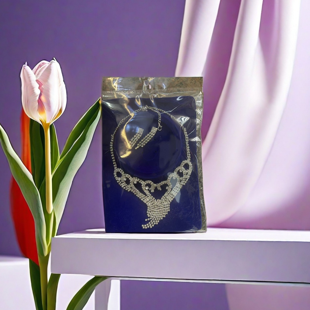 Jewelry necklace and earring set, fashionable and versatile ladies' gift box details Picture