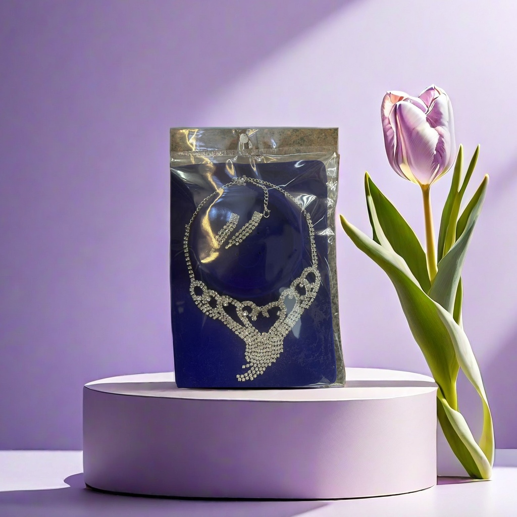 Jewelry necklace and earring set, fashionable and versatile ladies' gift box