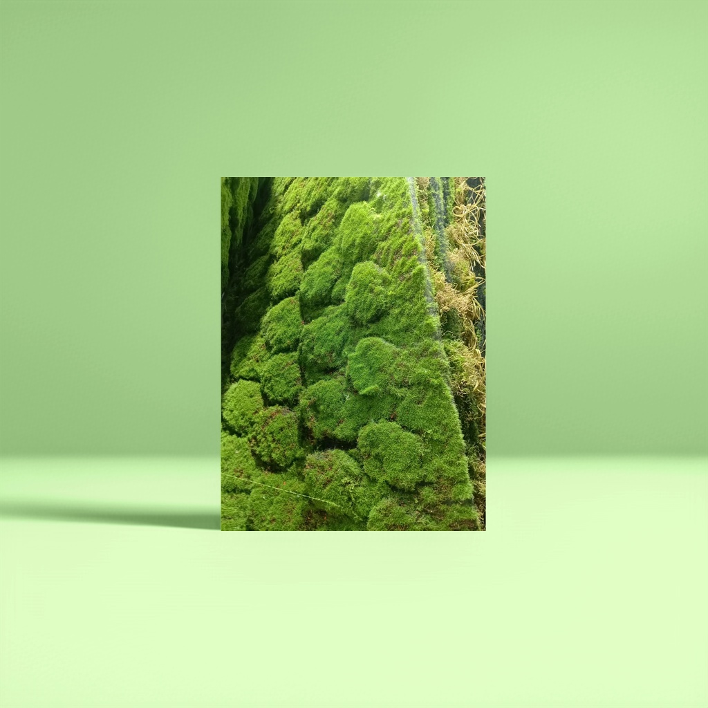 Simulación de oficina jardín campo de fútbol césped artificial cultura plástico vino rojo flor rosa yiwu césped