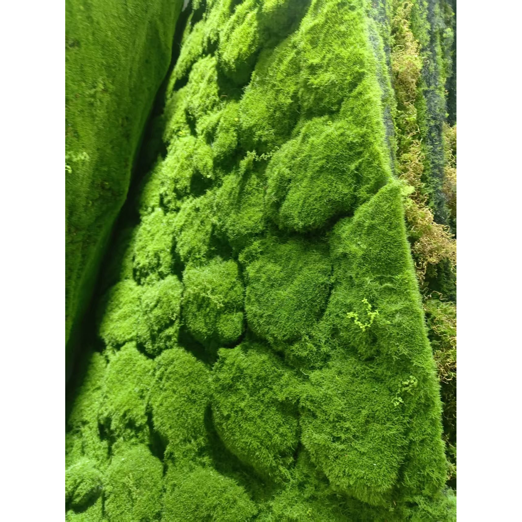 Green moss simulated rock surface decorative ornaments and garden landscaping materials Item Picture