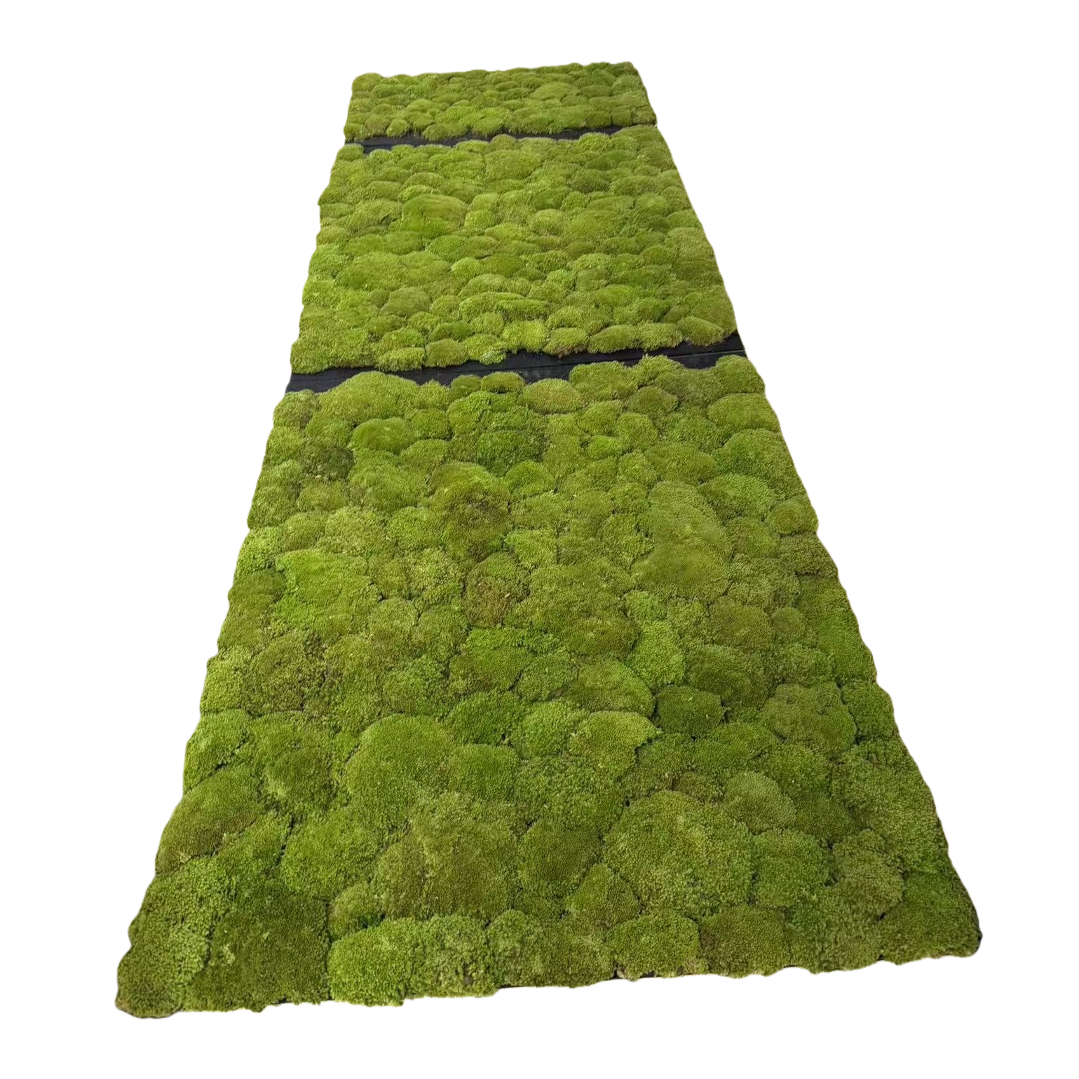 الطحالب الخضراء مزخرفة العشب النباتي Item Picture