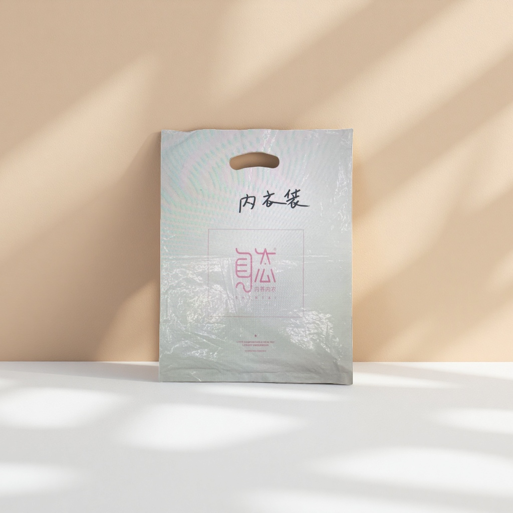 A transparent dust-proof portable storage bag specially made of plastic for underwear