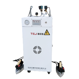 TEJ electric heating steam boiler DCXK2 industrial steam generator 220V Item Picture