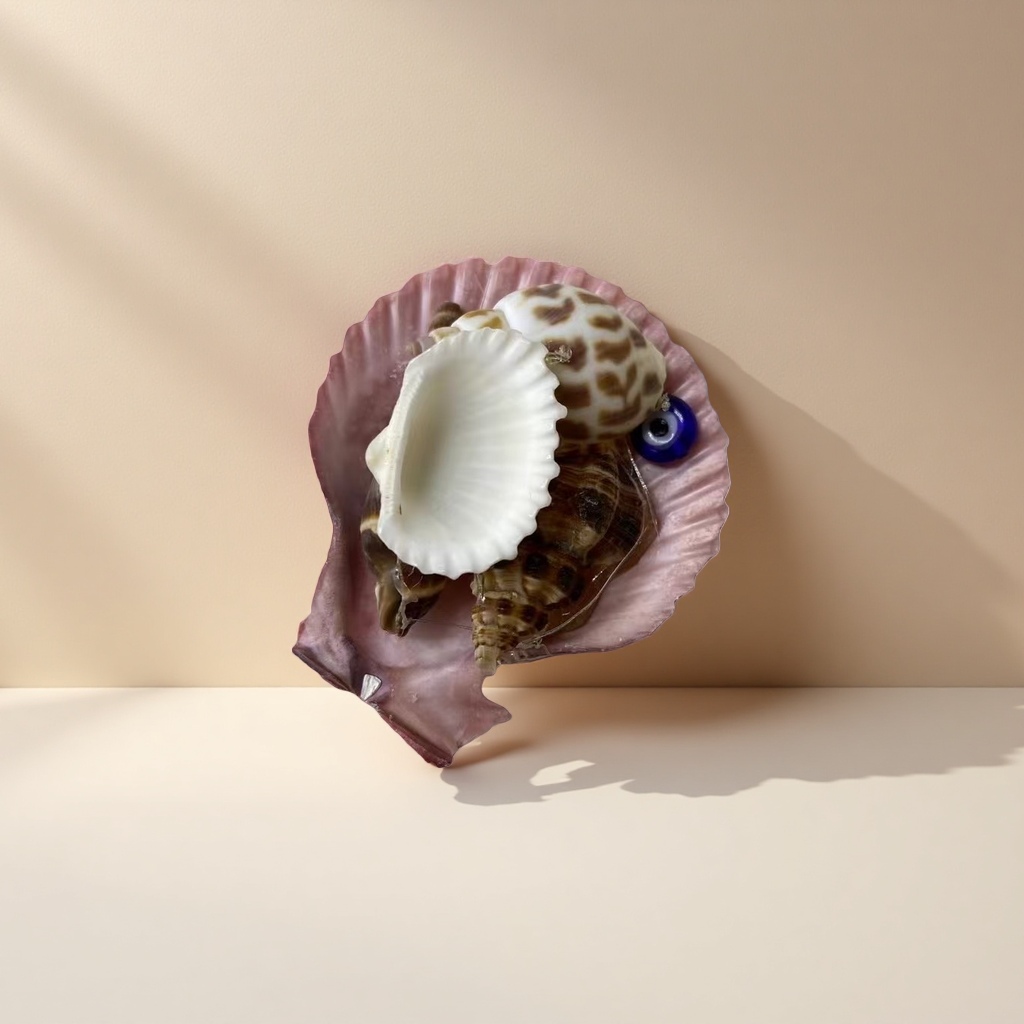 Natural shell decorative ornaments, ocean-style home decorations, hand-polished shell handicrafts Application Scenario