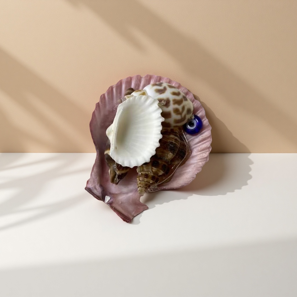 Natural shell decorative ornaments, ocean-style home decorations, hand-polished shell handicrafts Specification image