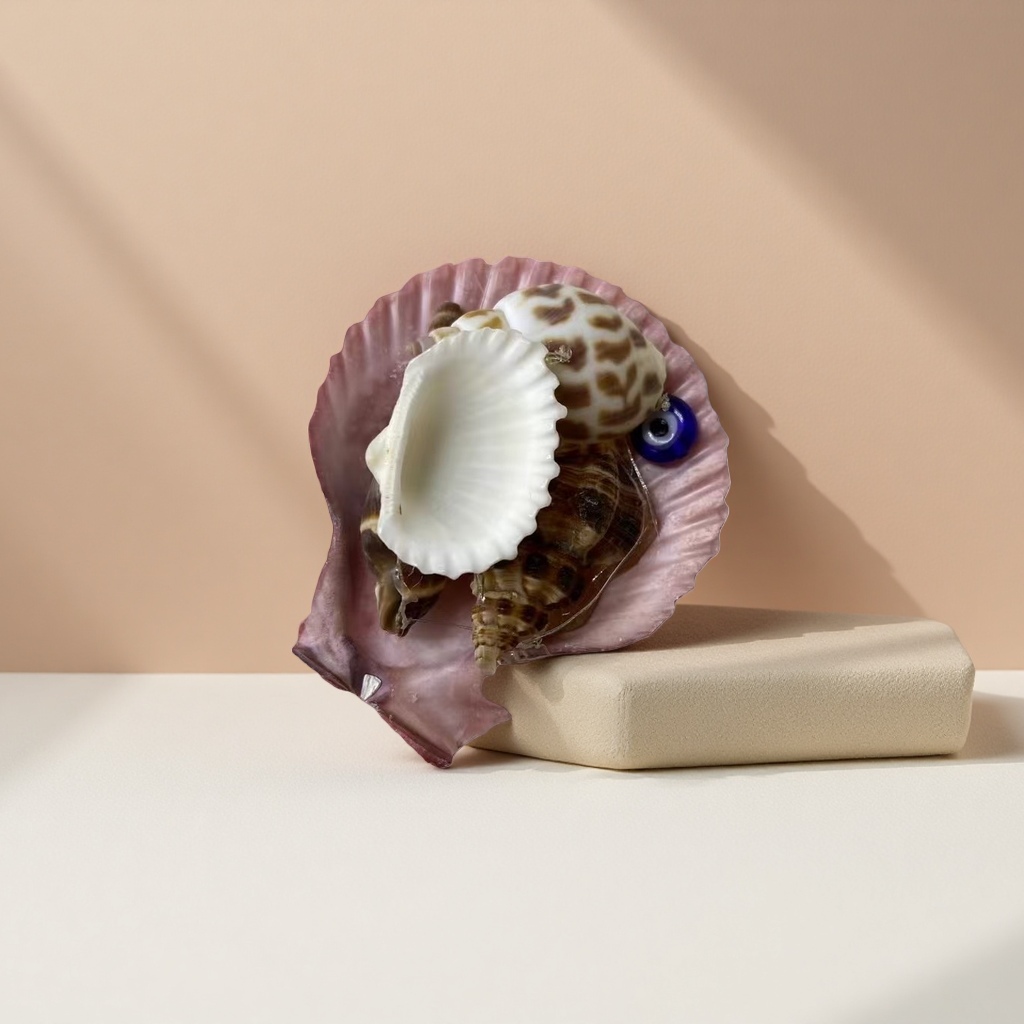 Natural shell decorative ornaments, ocean-style home decorations, hand-polished shell handicrafts details Picture