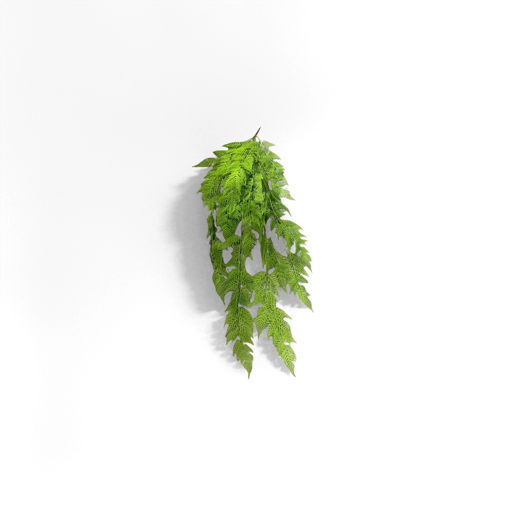 Green ferns, fern leaf potted indoor foliage plants, are easy to grow and shade-tolerant