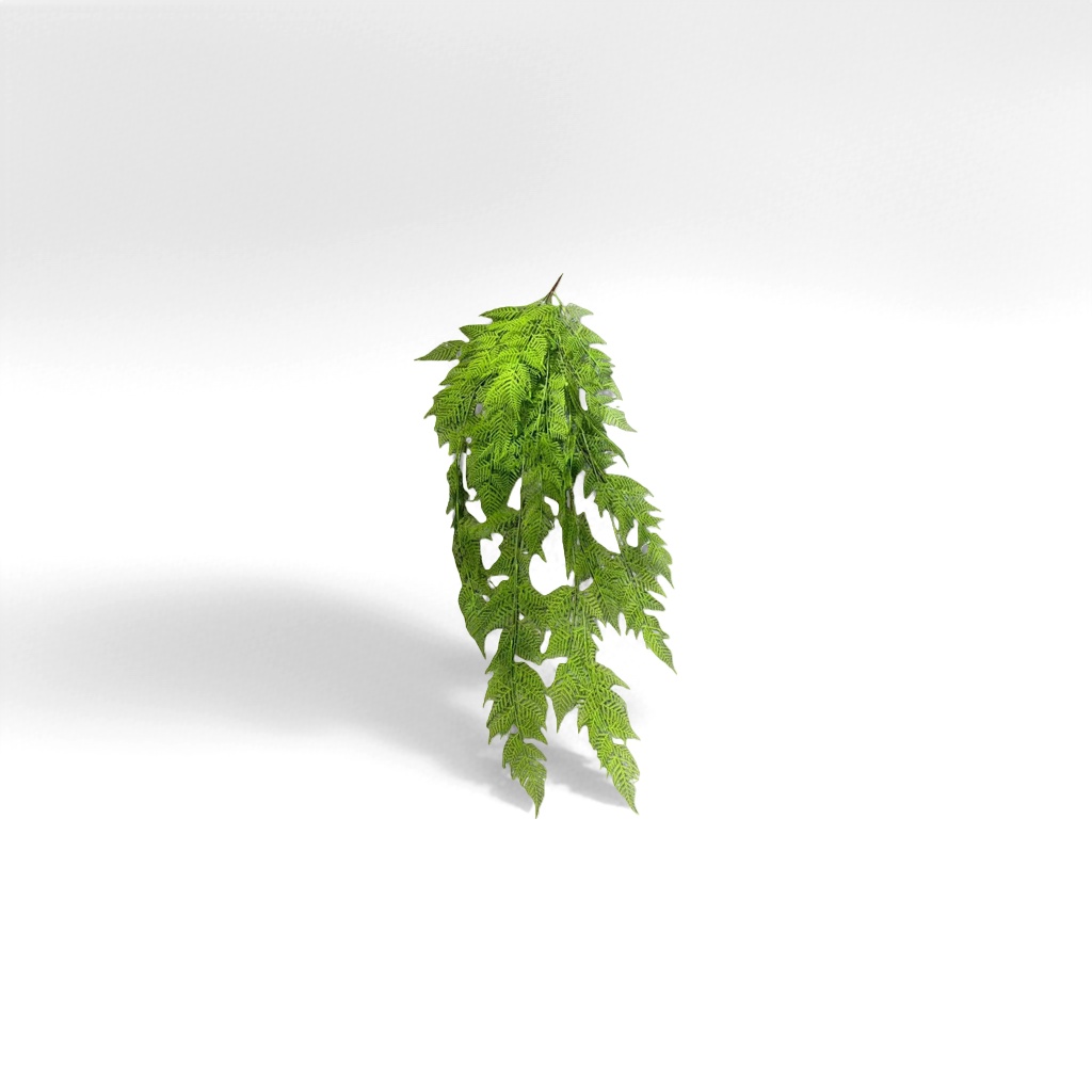 Green ferns, fern leaf potted indoor foliage plants, are easy to grow and shade-tolerant details Picture