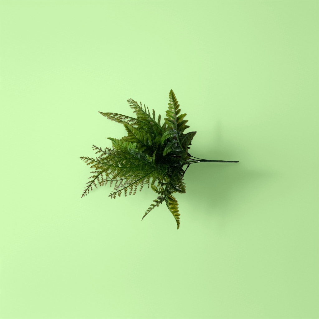 Green fern indoor foliage potted plants are easy to grow, shade-tolerant and can purify the air Application Scenario