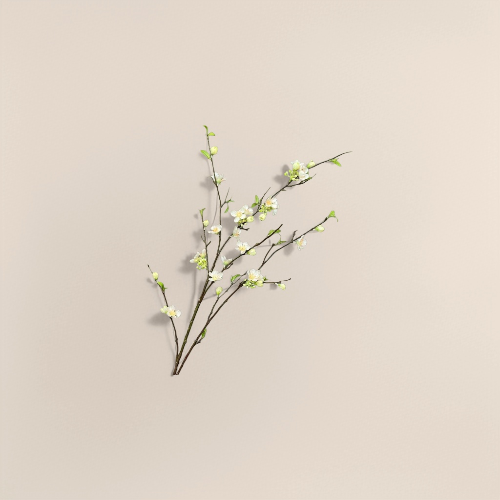 仿真植物实物图