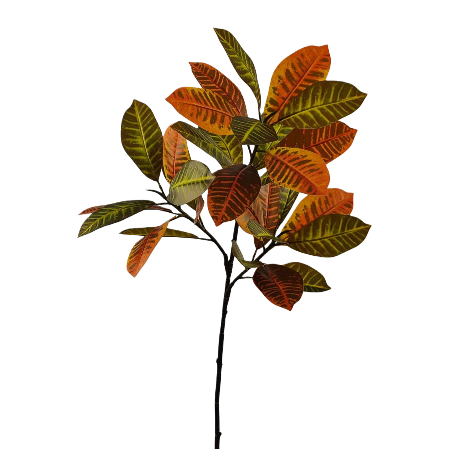 天然植物叶子标本画框装饰 室内墙面软装艺术摆件白底实物图