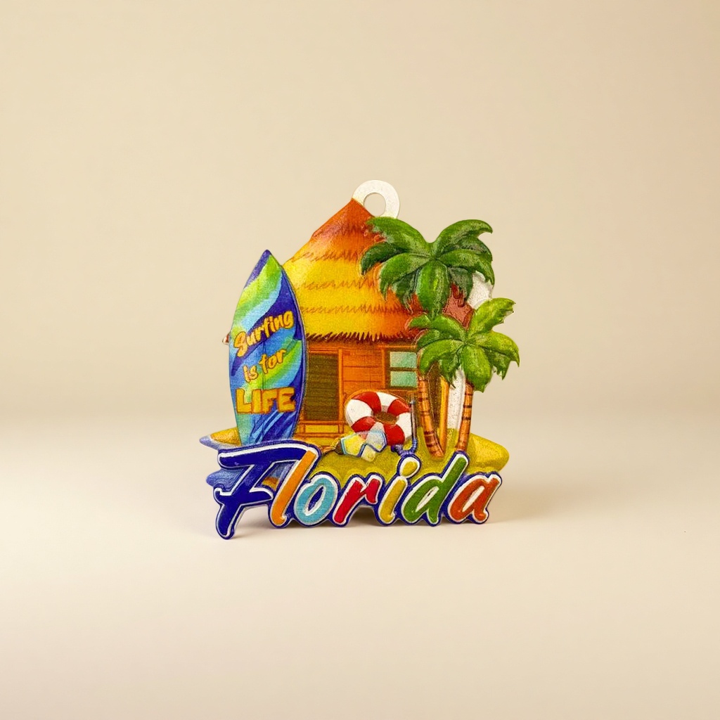 Colorful Florida-themed fridge magnets and American-style wall magnetic stickers details Picture