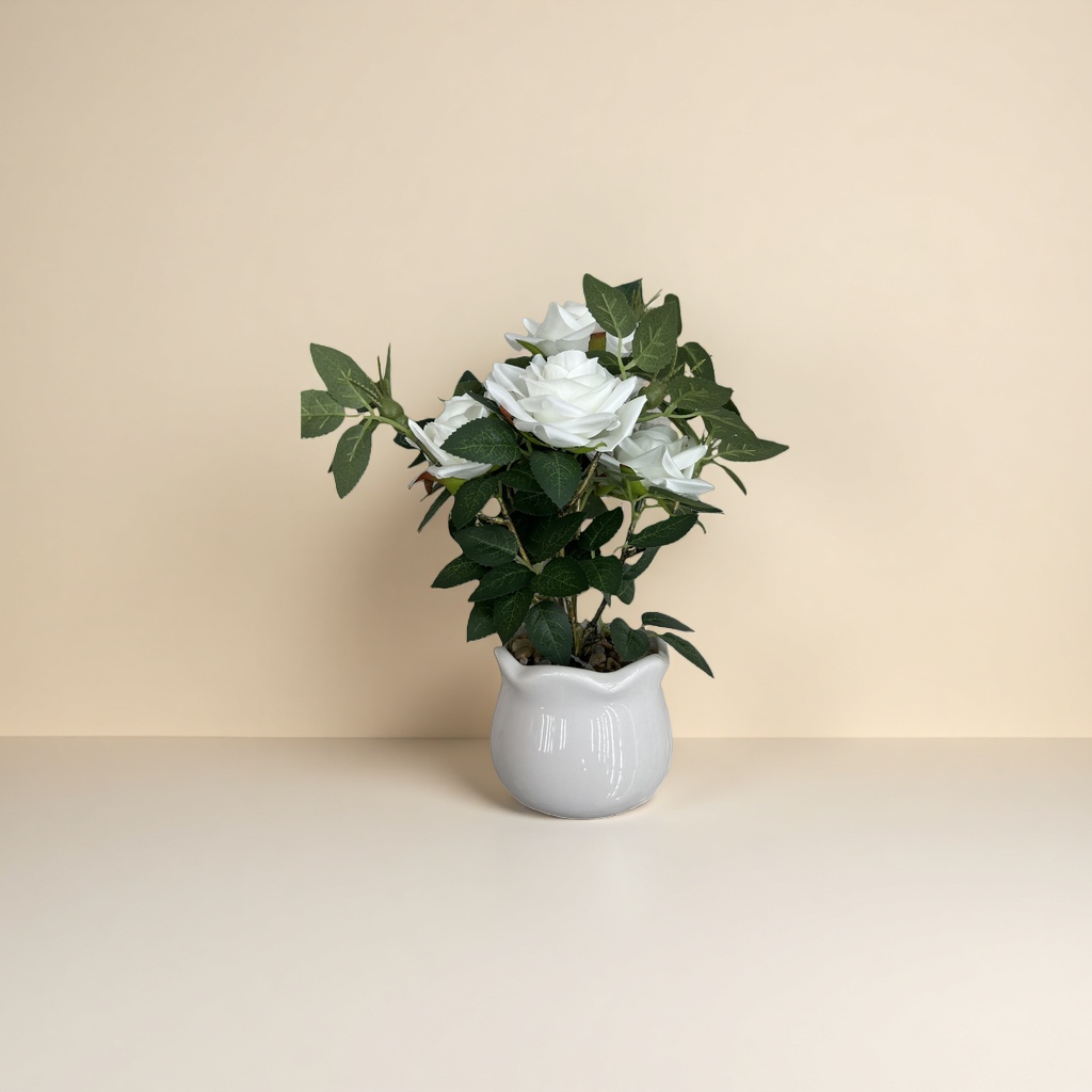 A fresh imported and fresh-keeping floral gift of white roses for my girlfriend on Mother's Day details Picture