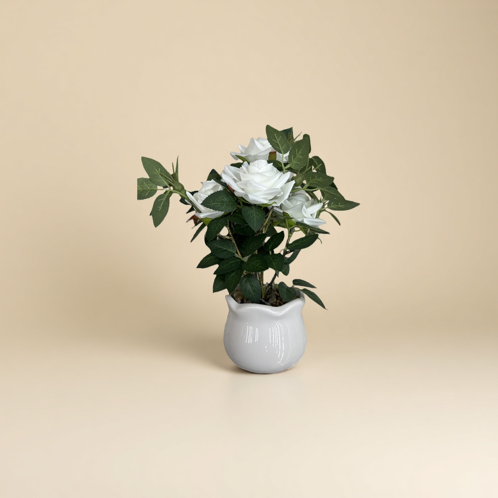 A fresh imported and fresh-keeping floral gift of white roses for my girlfriend on Mother's Day Specification image