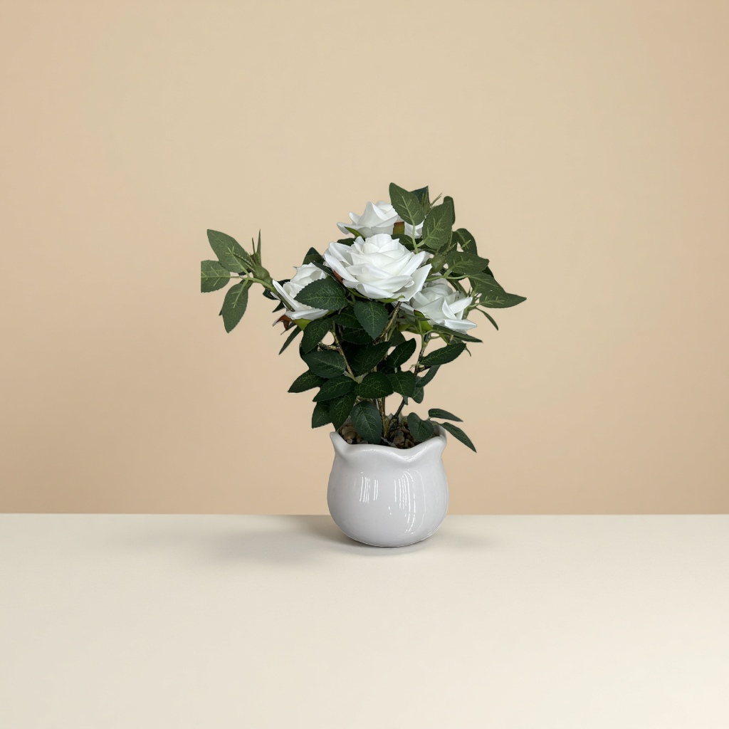 A fresh imported and fresh-keeping floral gift of white roses for my girlfriend on Mother's Day