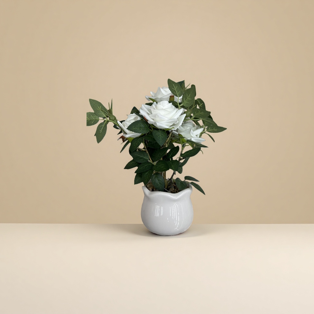 A fresh imported and fresh-keeping floral gift of white roses for my girlfriend on Mother's Day Application Scenario