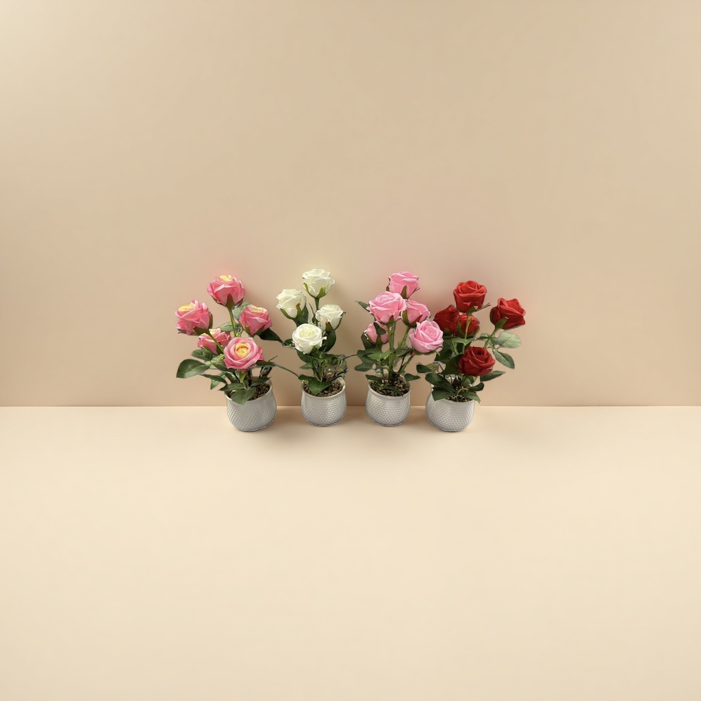 玫瑰花盆栽 室内观花植物阳台花卉易养活带盆发货 Application Scenario