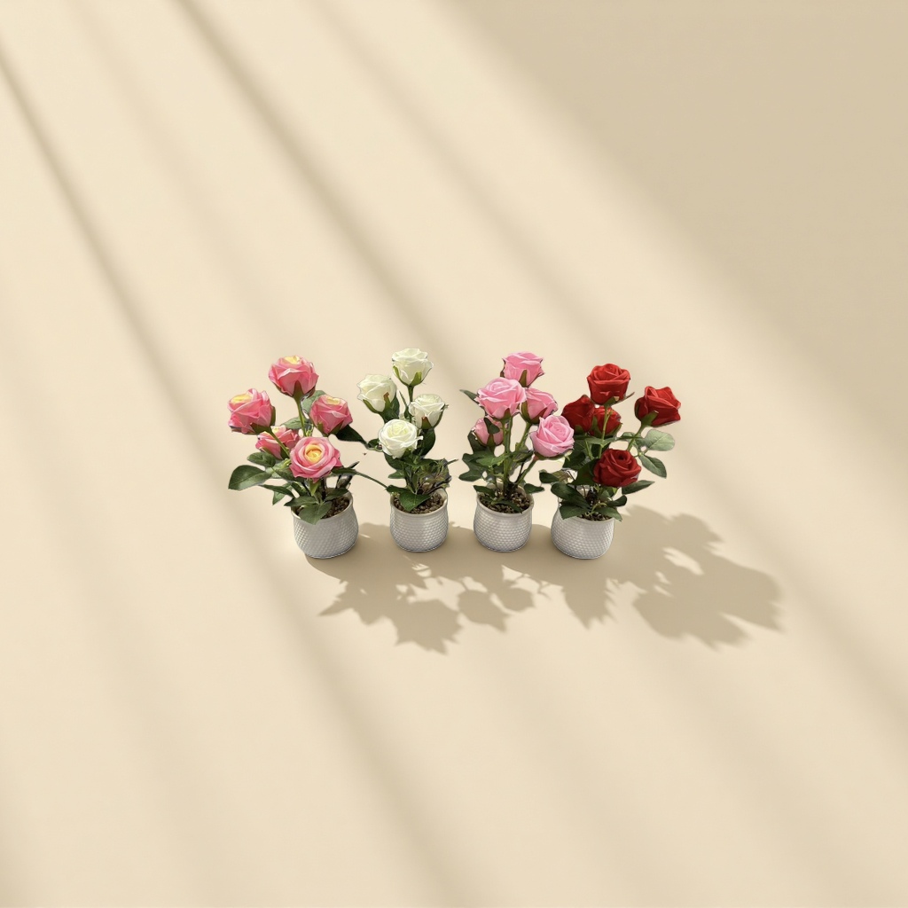 玫瑰花盆栽 室内观花植物阳台花卉易养活带盆发货 Specification image