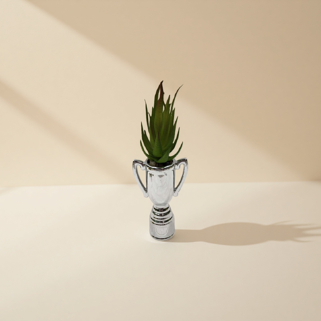 盆栽植物绿植室内装饰小型观叶植物 Application Scenario
