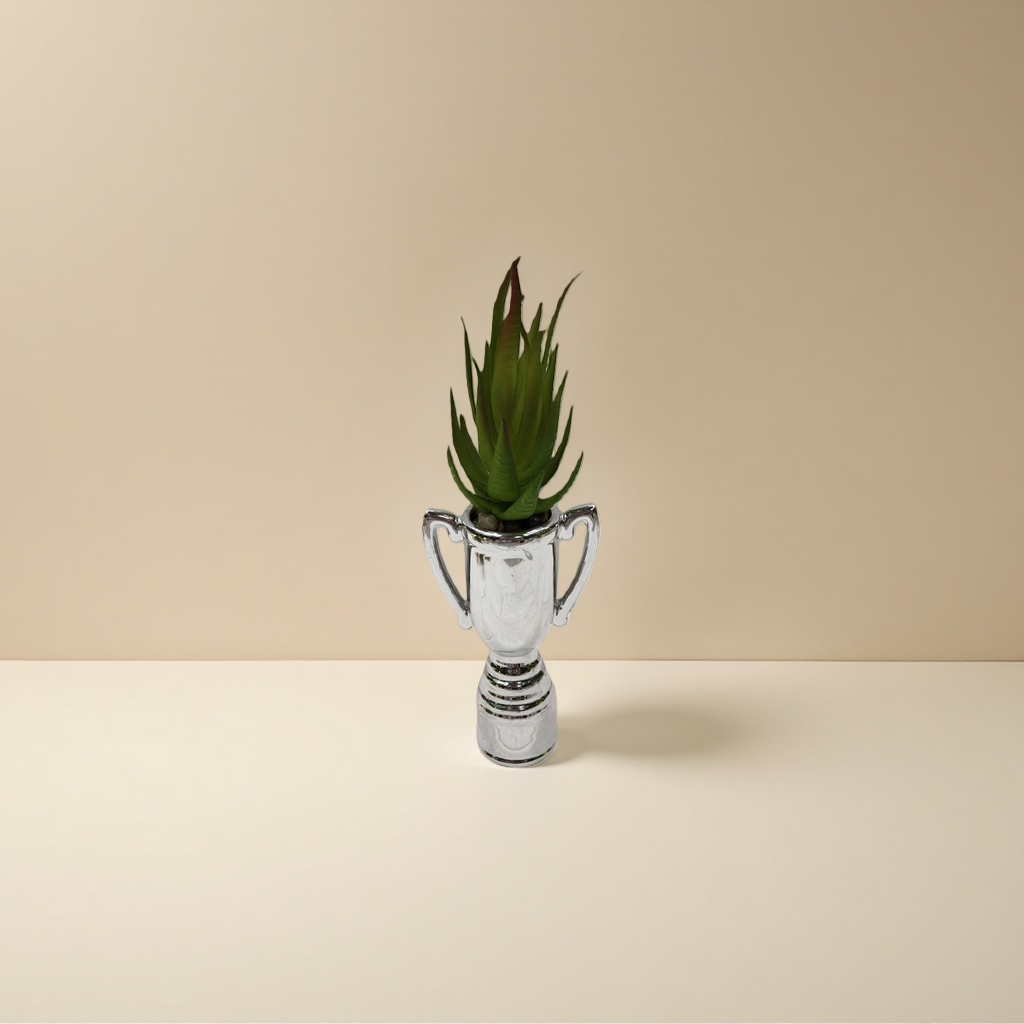 盆栽植物绿植室内装饰小型观叶植物 details Picture