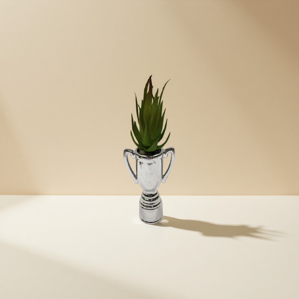 盆栽植物绿植室内装饰小型观叶植物