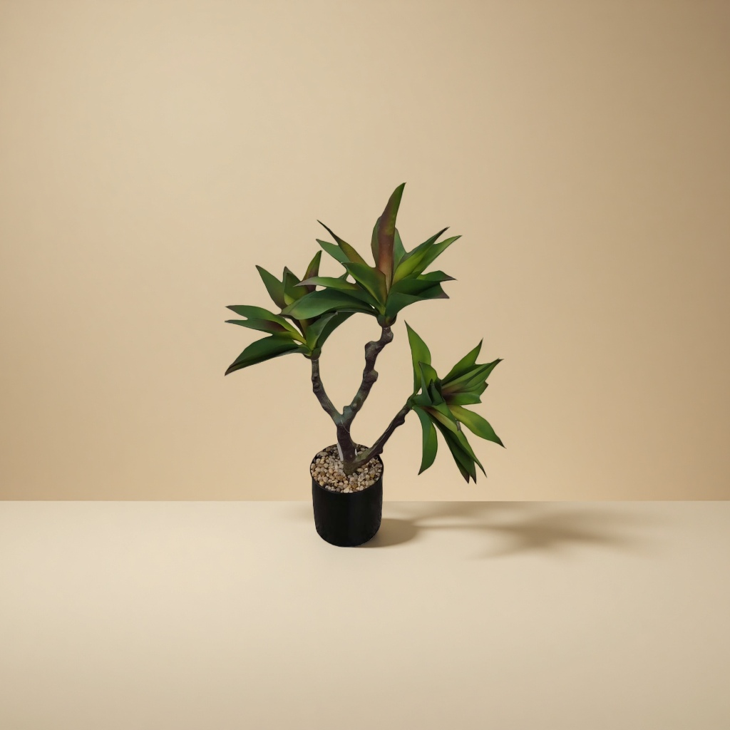 绿色多肉植物盆栽 陶瓷花盆套装 客厅阳台装饰绿植 details Picture