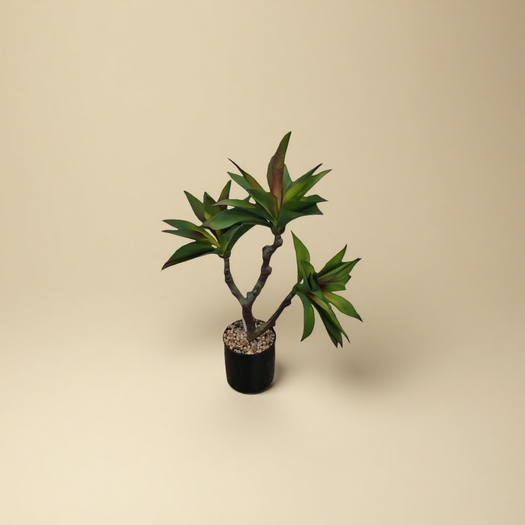 绿色多肉植物盆栽 陶瓷花盆套装 客厅阳台装饰绿植 Specification image
