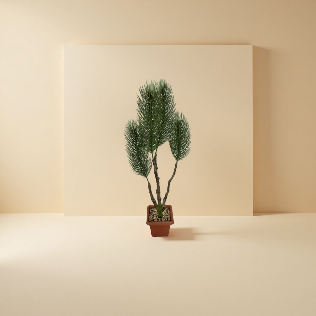 盆栽植物绿萝吊兰多肉室内小型观赏植物盆栽 Application Scenario