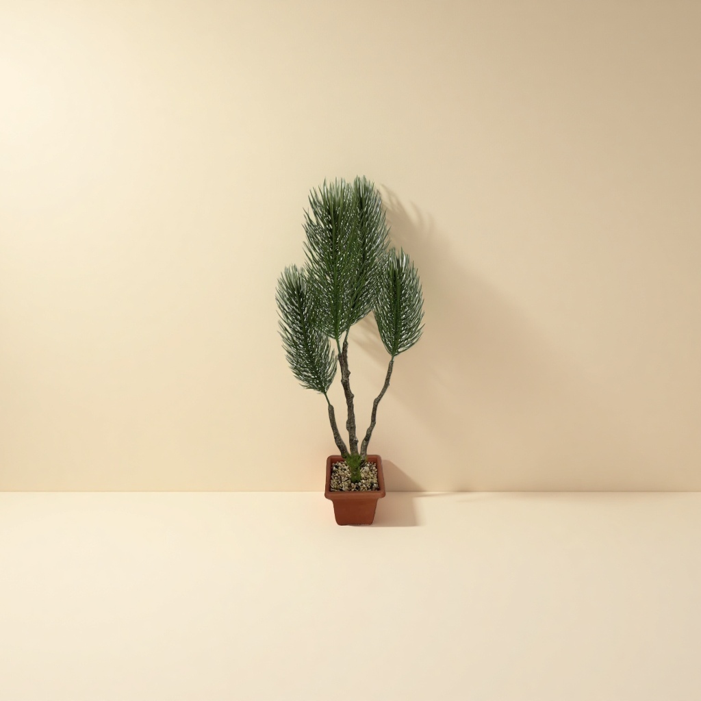 盆栽植物绿萝吊兰多肉室内小型观赏植物盆栽 Specification image