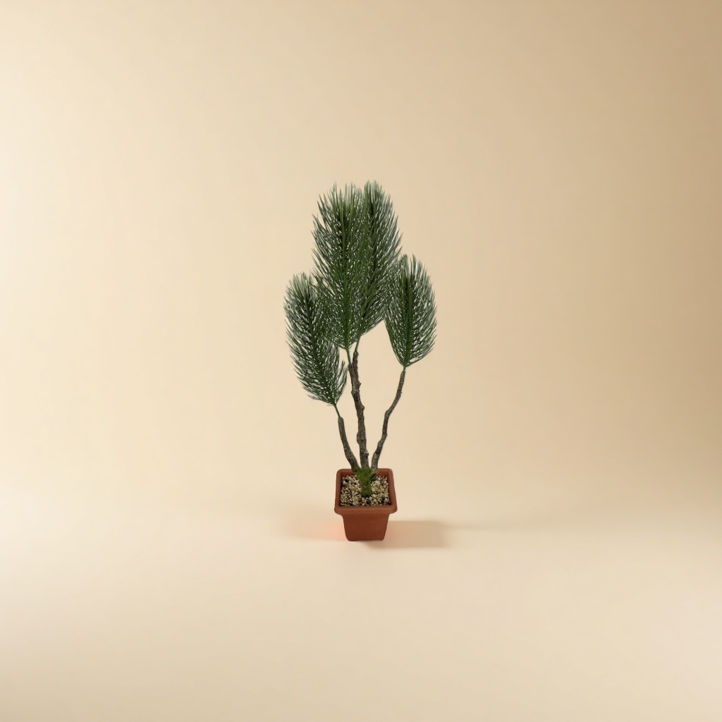 盆栽植物绿萝吊兰多肉室内小型观赏植物盆栽 details Picture