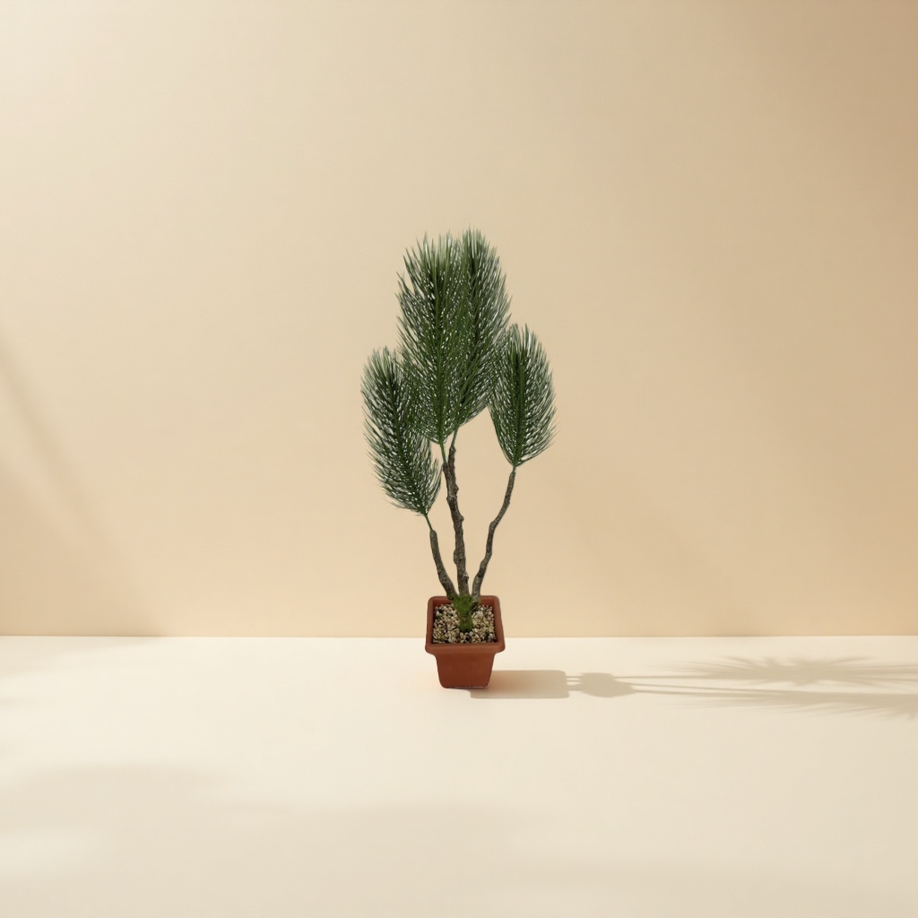 盆栽植物绿萝吊兰多肉室内小型观赏植物盆栽