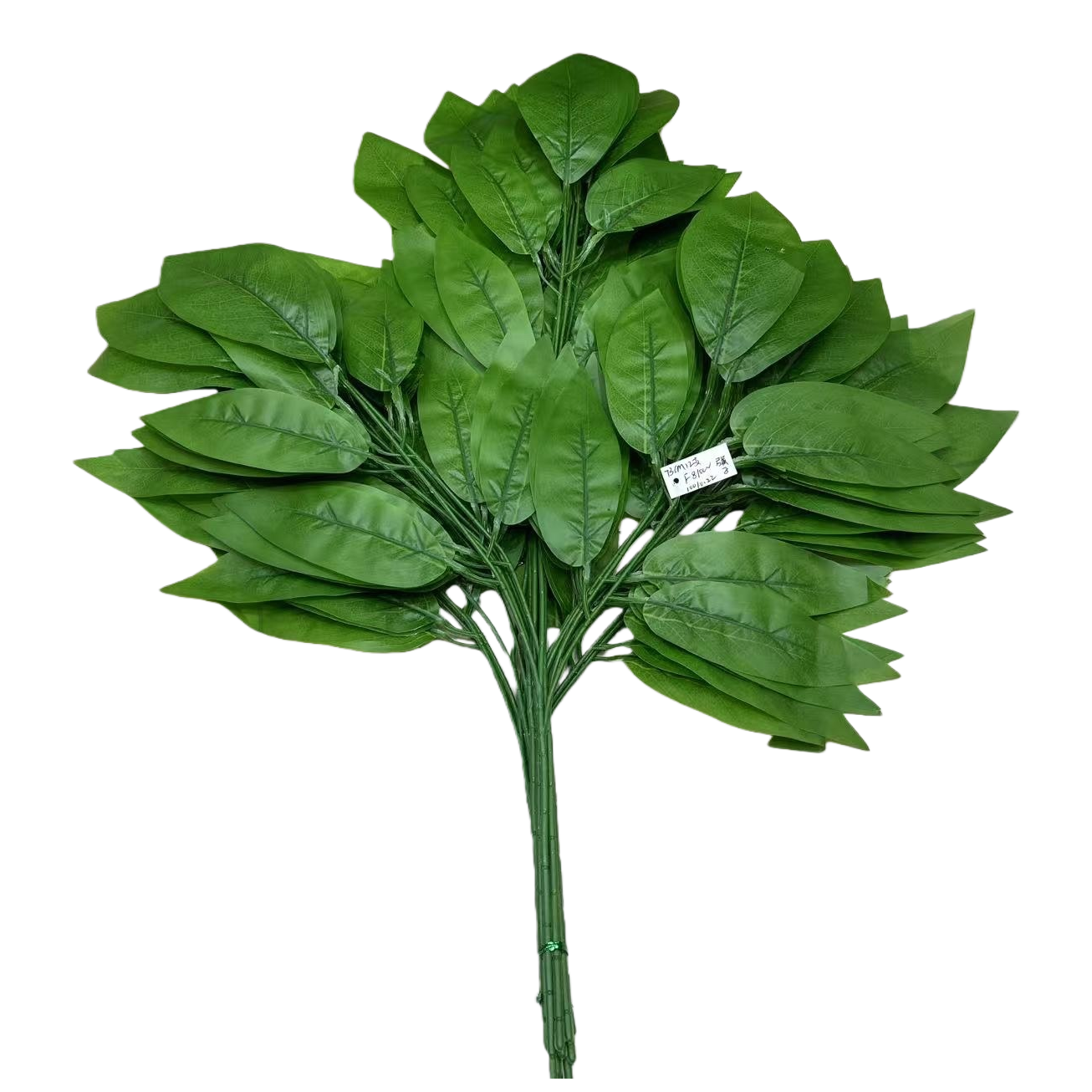 绿色叶子+人造植物枝条白底实物图