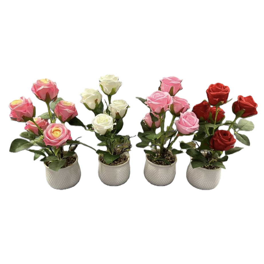 玫瑰花盆栽 室内观花植物阳台花卉易养活带盆发货 Item Picture