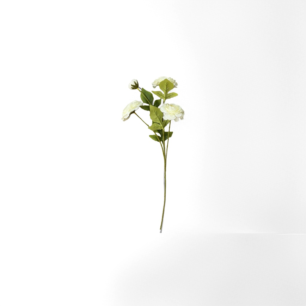 白色花朵花束 韩式简约婚礼生日庆典用鲜花礼盒