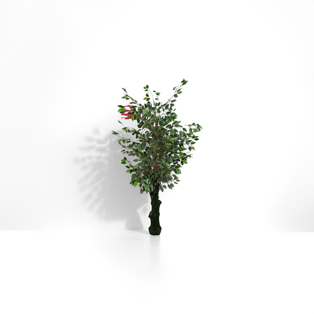 绿叶植物盆栽树室内观叶绿植小盆栽装饰客厅阳台
