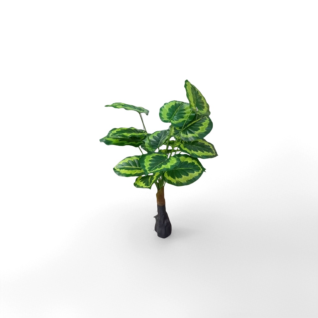 绿叶植物室内盆栽观叶绿植净化空气易养耐阴