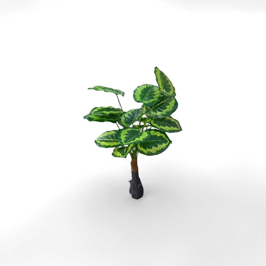 绿叶植物室内盆栽观叶绿植净化空气易养耐阴细节图