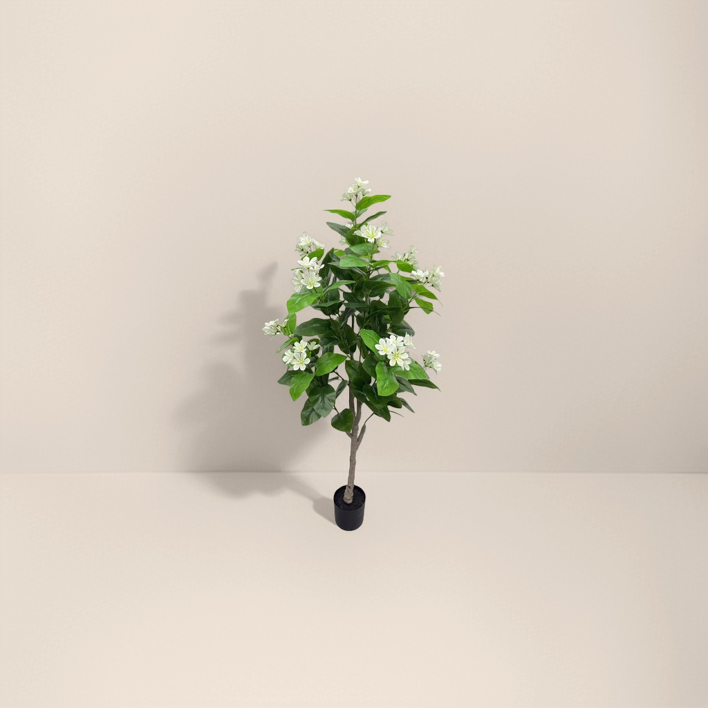 向日葵盆栽植物室内观赏花卉易养耐旱阳台绿植